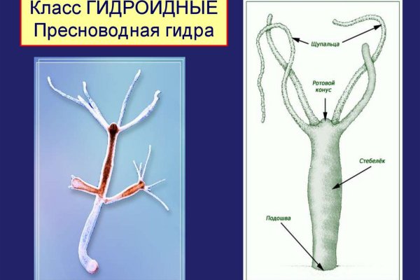 Кракен шоп это