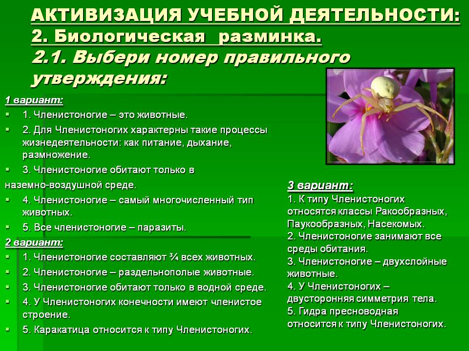 Ссылка на сайт кракен в тор